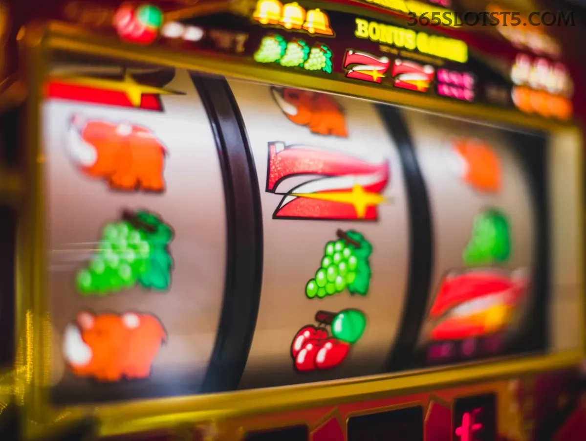 Plataforma 365slots - cassino e apostas